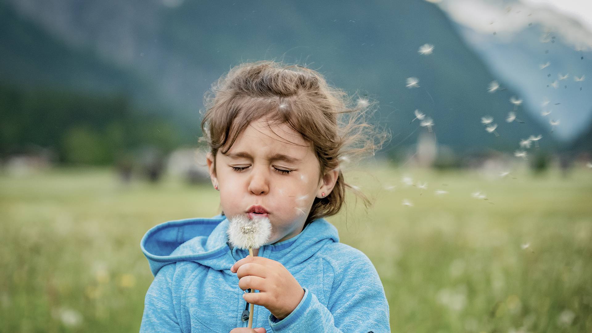 Child blows on a dandelion, closing their eyes