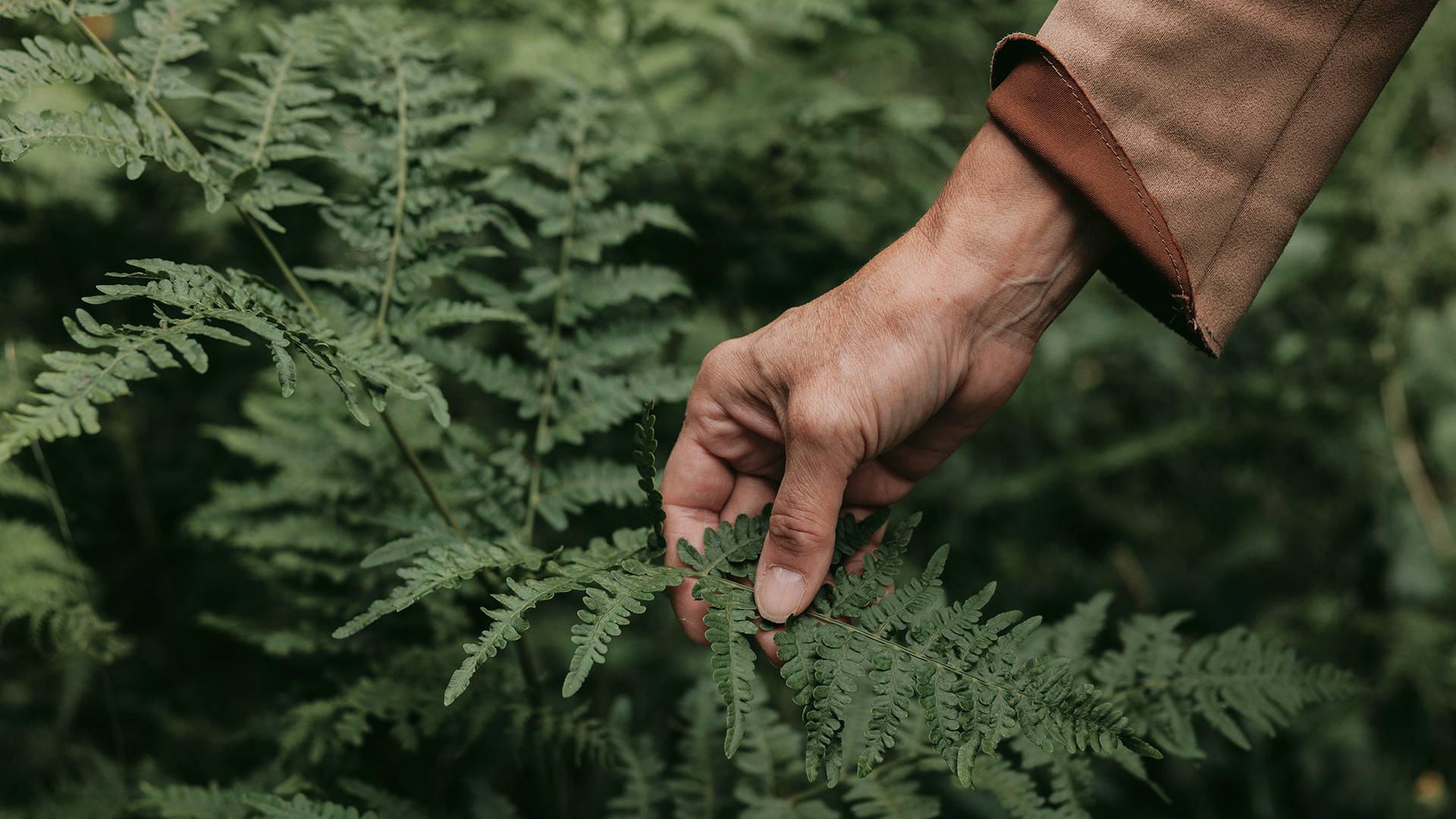 Wild game, herbs & nature - the taste of Lechtal: Culinary experiences begin here long before the kitchen. - Lechquell Hotel Post