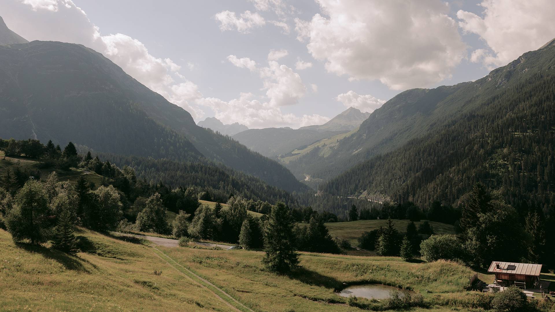 Mindfulness in the hunting grounds: Appreciation for animals and nature - Lechquell Hotel Post