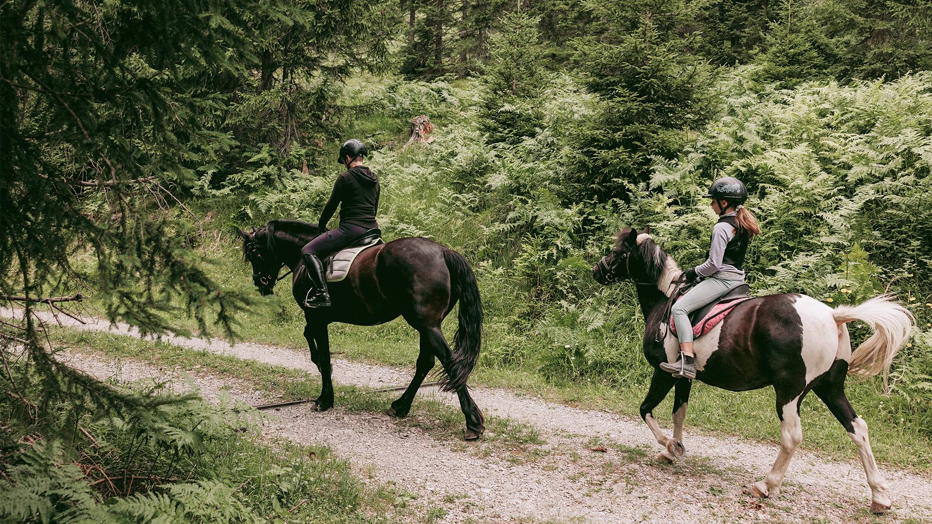 Riding holidays for beginners and experienced riders: Never sat on a horse before? - Lechquell Hotel Post