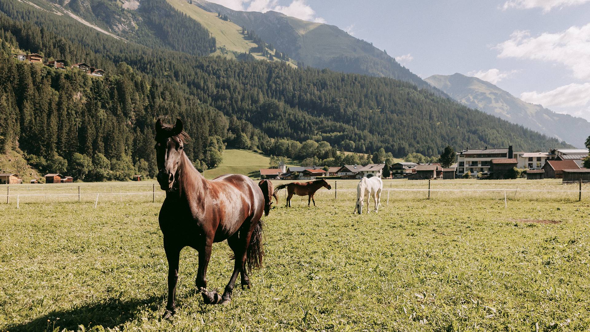 Pricing: Riding holiday in Austria - Lechquell Hotel Post