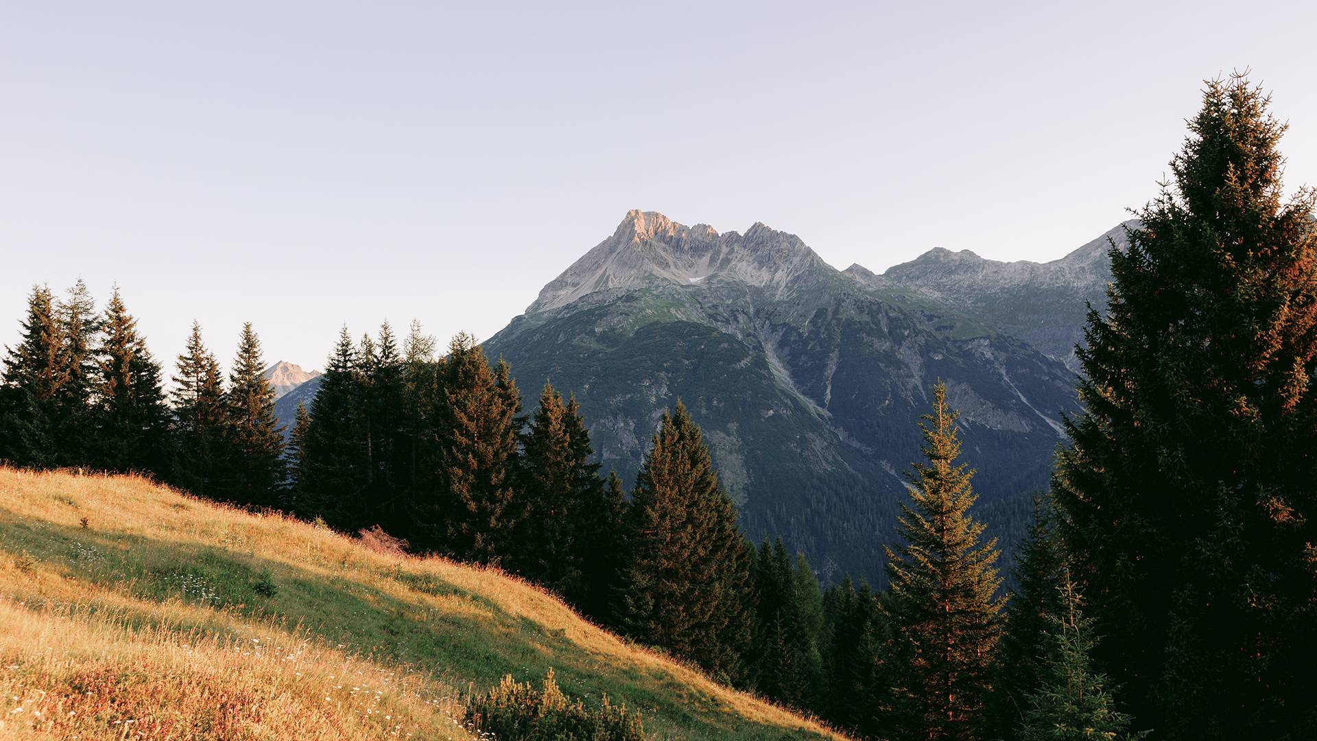 Wandelen in het Lechtal: tussen de Lech en bergtoppen - Lechquell Hotel Post