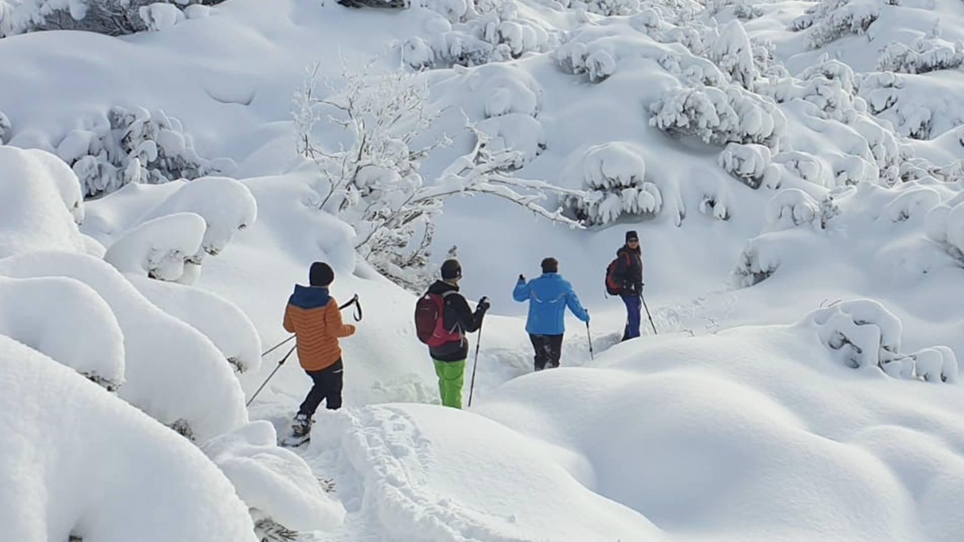 Pure nature experiences - Lechquell Hotel Post