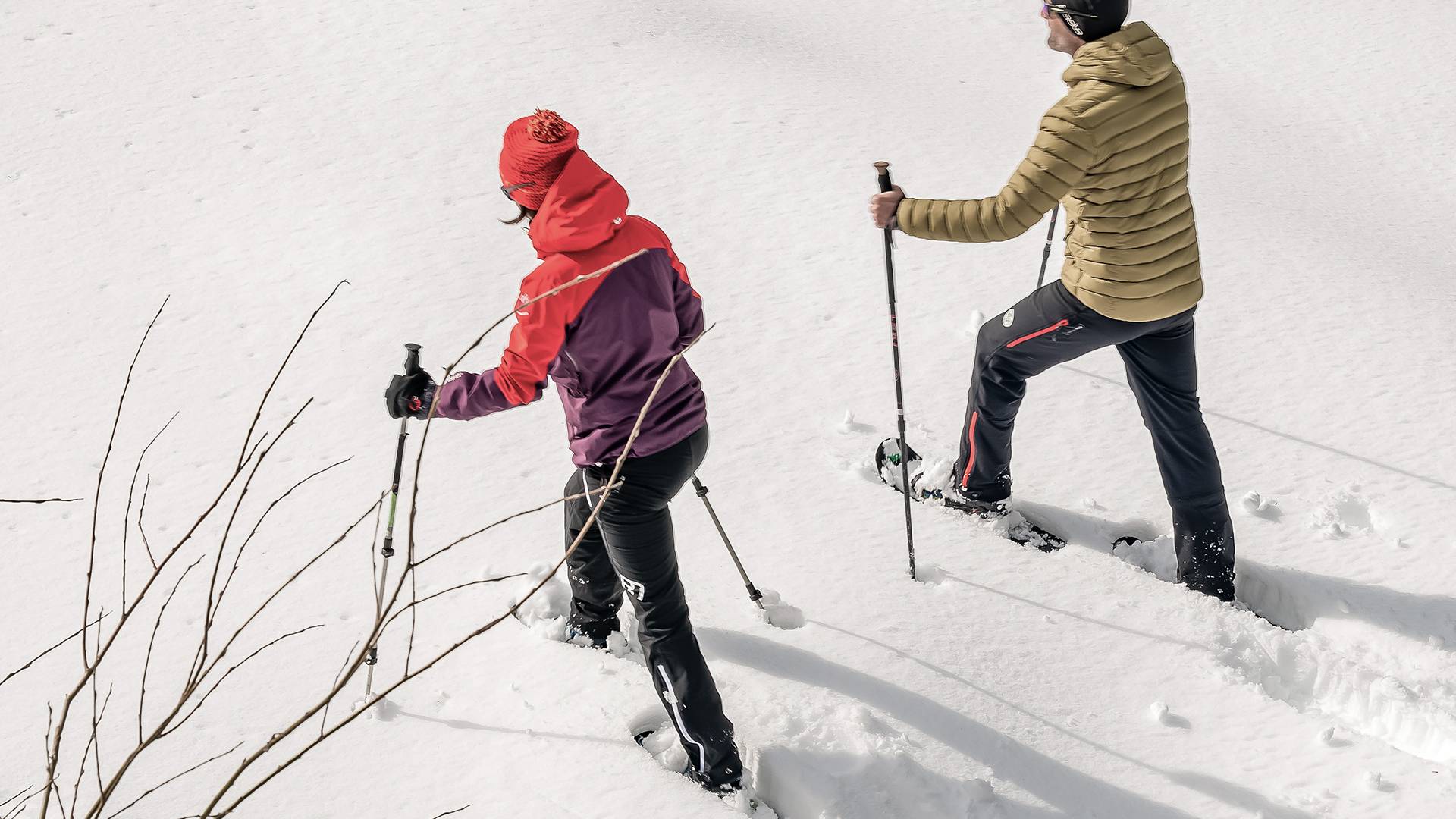 The most popular tours: Tips for snowshoeing - Lechquell Hotel Post