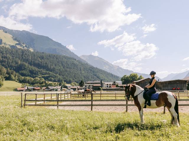 uiteresse zit op een paard in een weide